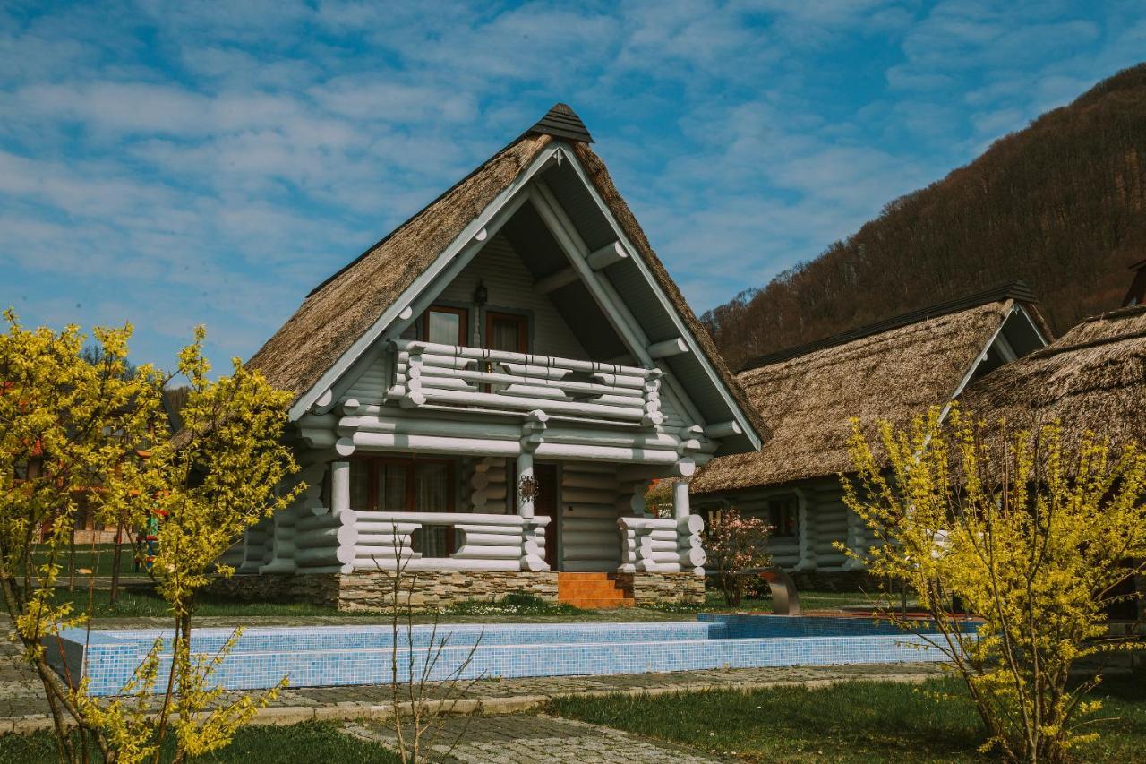 Chervona Ruta