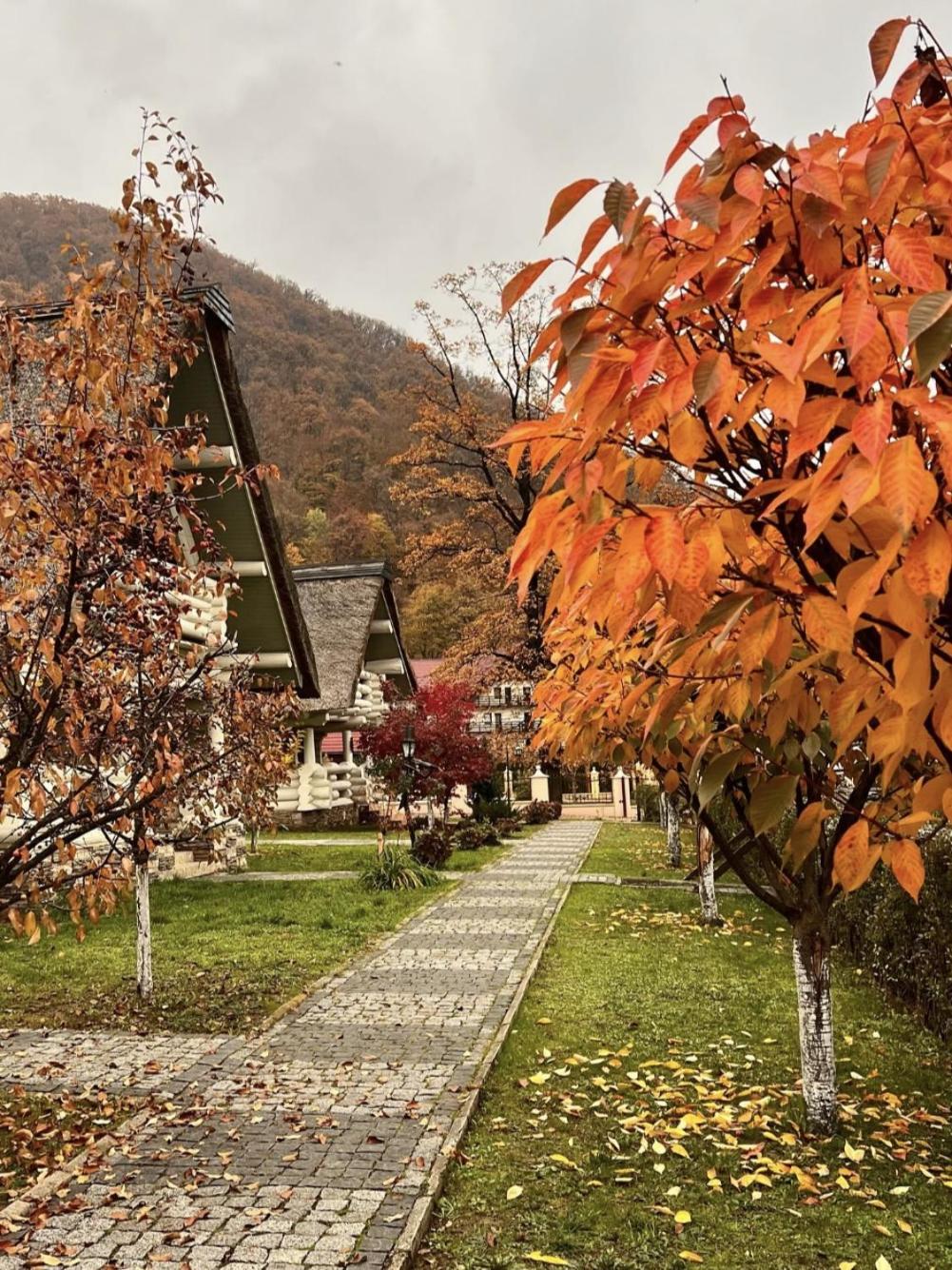 Lodge Chervona Ruta