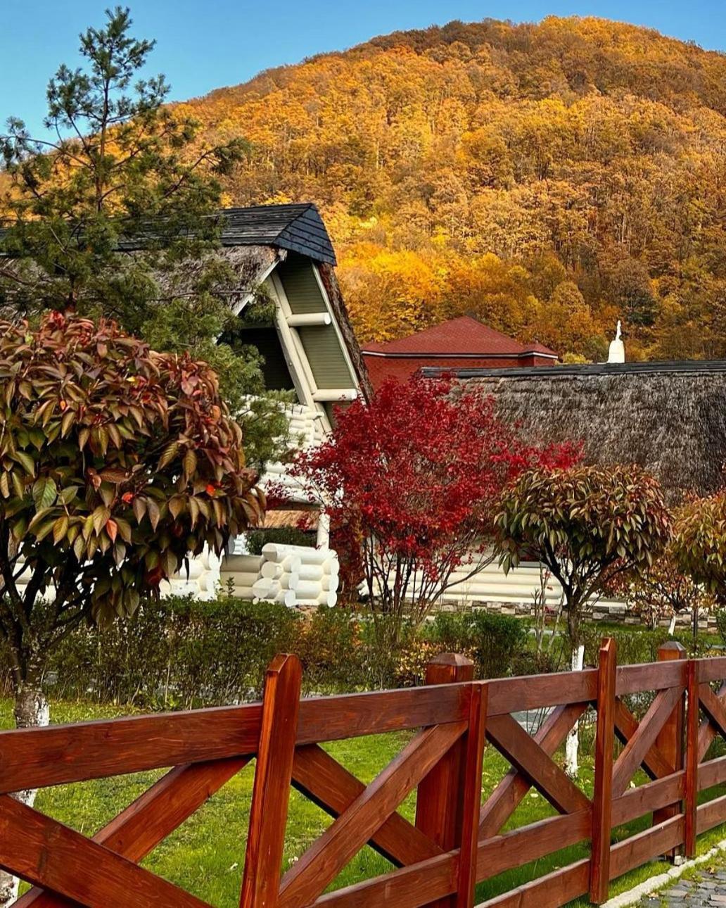 Chervona Ruta Lodge *