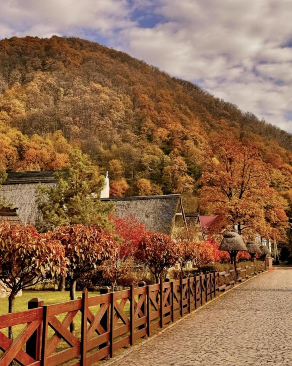 Lodge Chervona Ruta