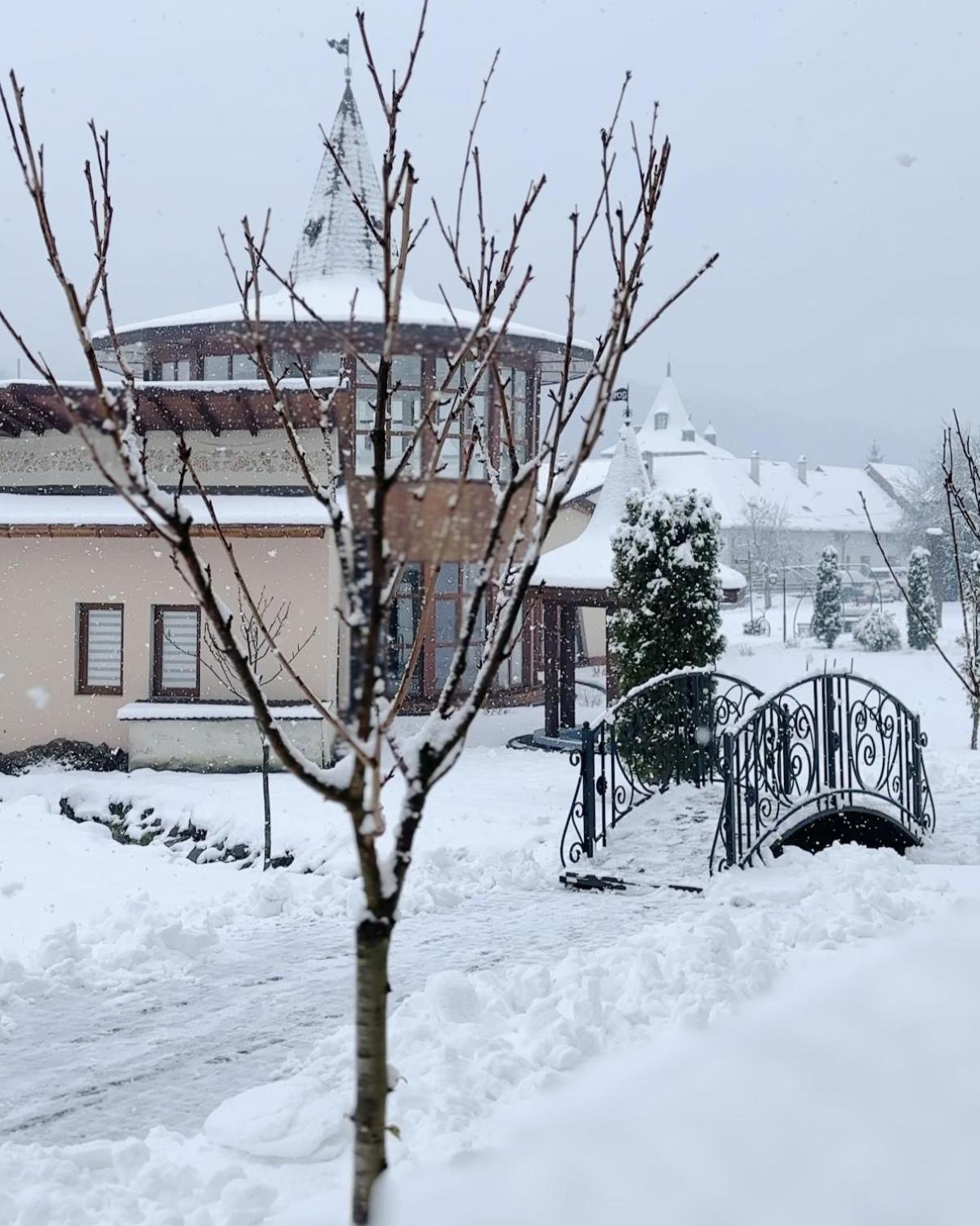 Chervona Ruta *